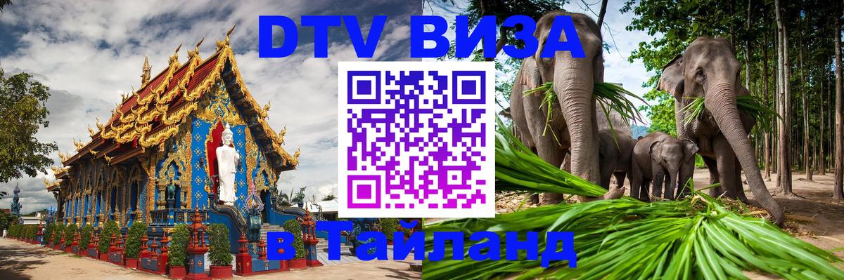 Оформление DTV визы под ключ: стоимость и тарифы, только загранпаспорт - 03.10.2025 